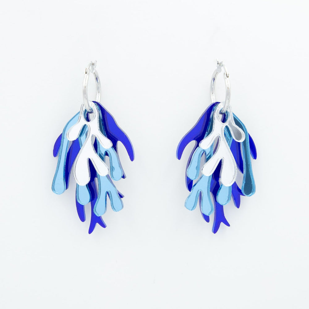 Algas con aro azul