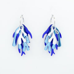 Algas con aro azul