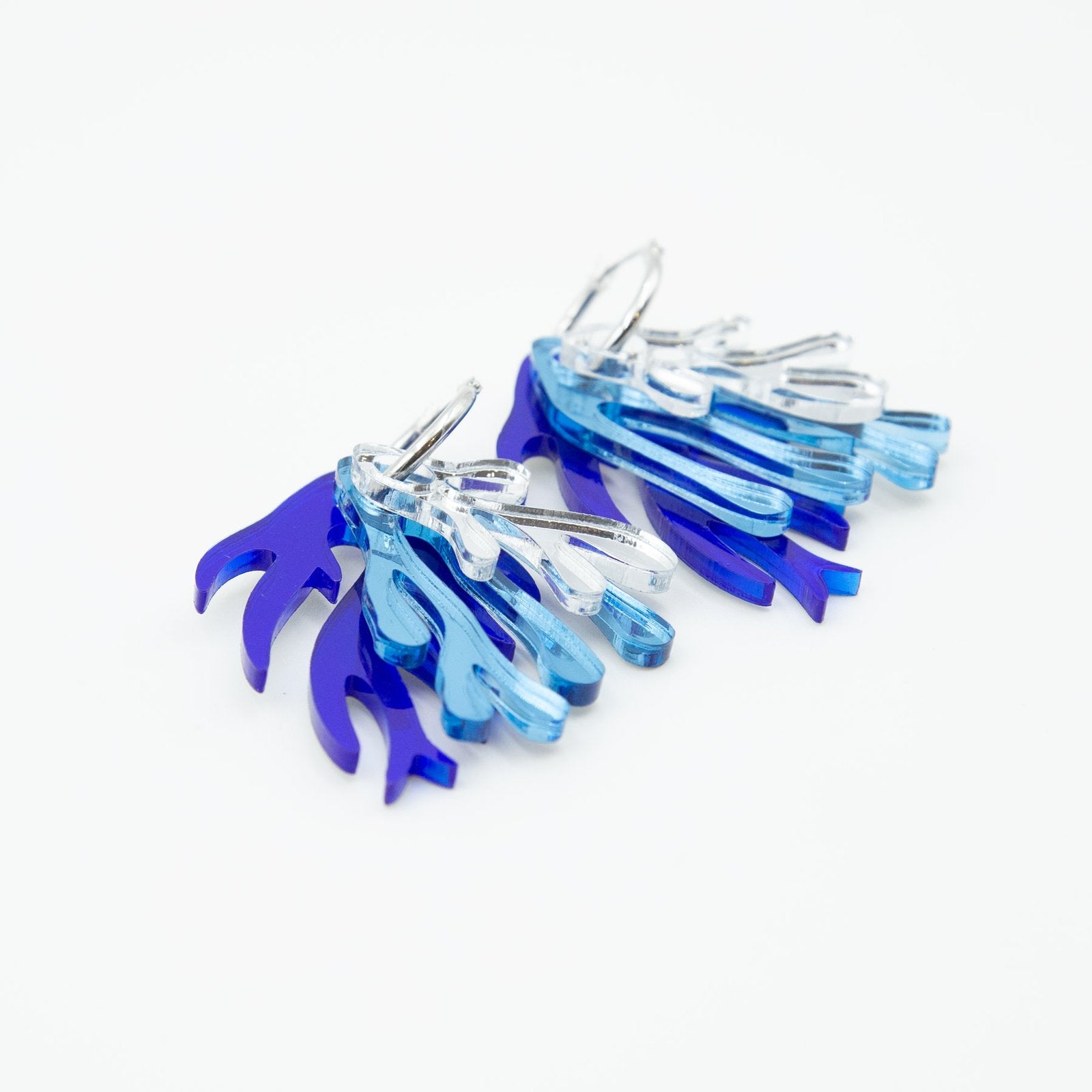 Algas con aro azul