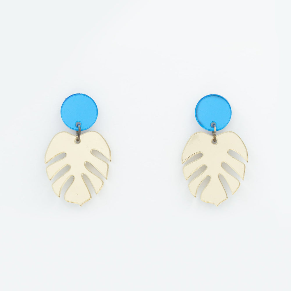 Monstera mini