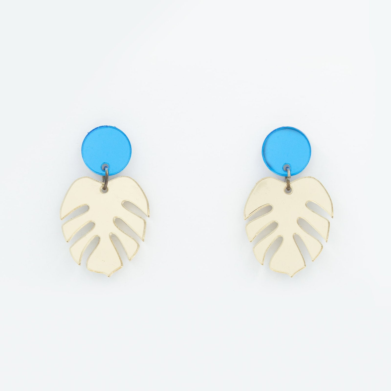 Monstera mini