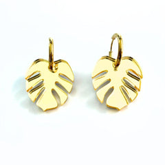 Monstera aro oro 1