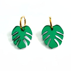 Monstera aro verde 1