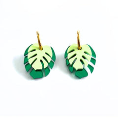 Monstera doble con aro verde 1