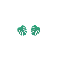 Monstera micro lima