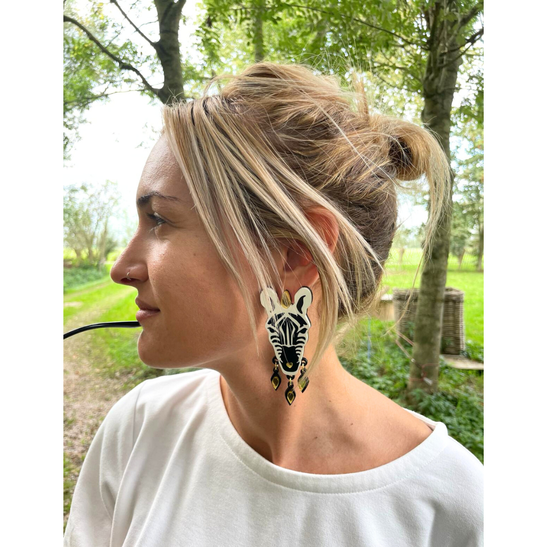 zebra 1